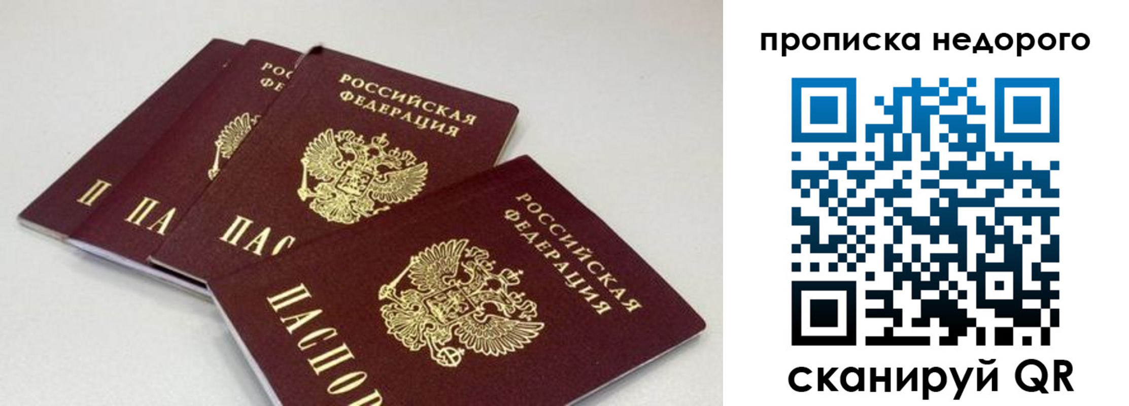 прописка штамп в Талдоме